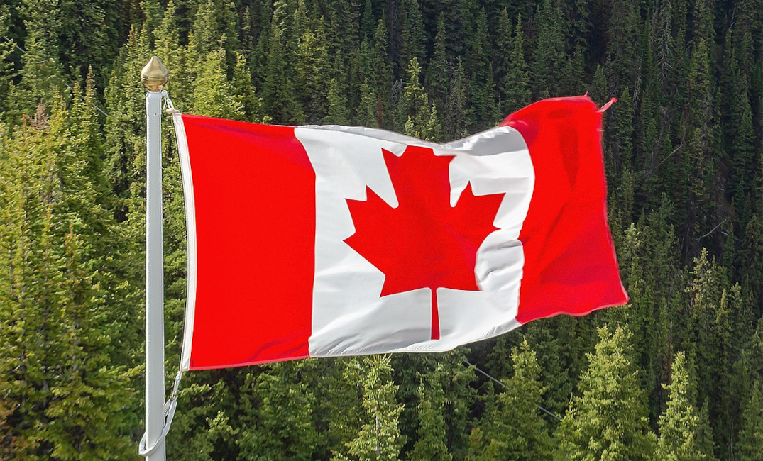 A photo of the flag of Canada flying in front of a background of green trees